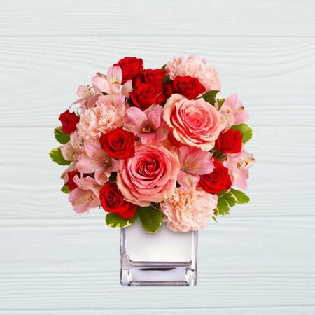 Mix of Red Rose, Pink Rose, Pink Carnation and greens in a vase