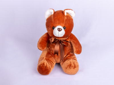Small brown teddy bear tied with brown ribbon