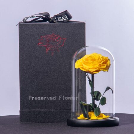 Preserved single yellow rose in a glass dome