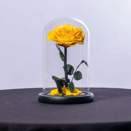 Preserved single yellow rose in a glass dome