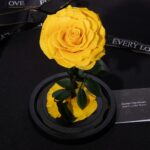Single Yellow Forever Rose