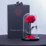 Single Red Forever Rose – Red rose in a vase