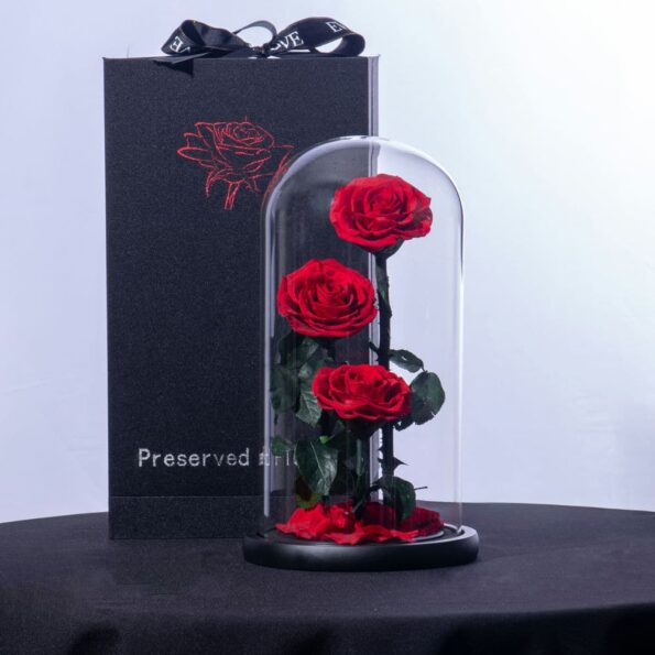 Preserved red roses in a glass dome