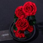 Red Trio Forever Rose – Red Roses in a Glass vase