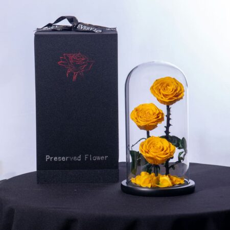 Preserved yellow roses in a glass dome