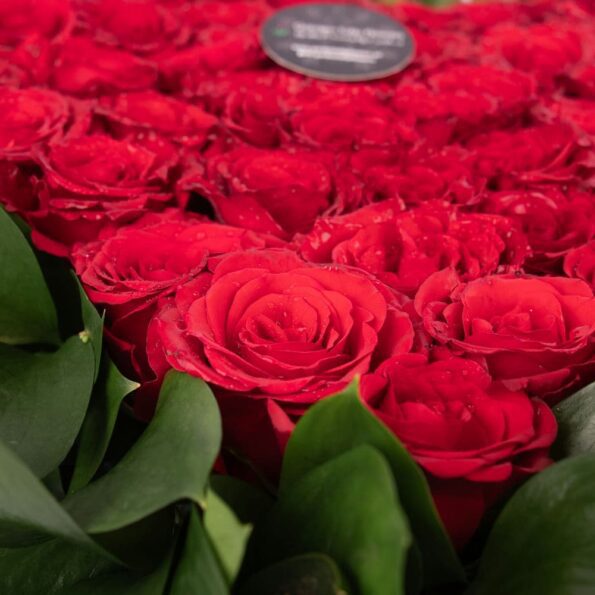 close up view of red roses in heart shaped arrangements