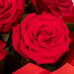 Rose Beauty – Red Rose Bouquet