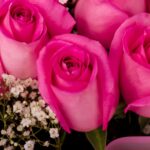 Strong Feelings – Pink Flower Bouquet
