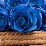 Blue Blooms – Blue Rose Bouquet