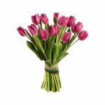 Sweet Purple – Purple Tulips