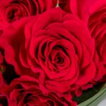 Eternal Love Combo – Red Rose Bouquet with Chocolates and Teddy Bear