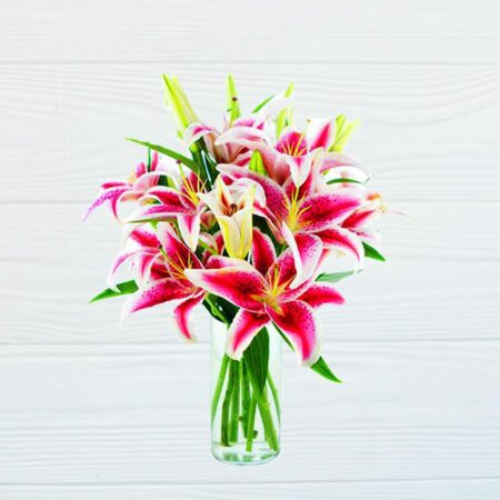 Pink Lillies in a vase
