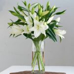 Graceful Lily – Lilies in a vase