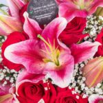 Lilly Bloom – Pink Lilies and Red Roses