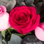 Beauty of Vibrance – Pink and red Rose in a vase