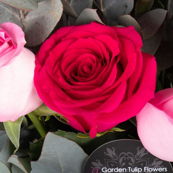 Close up of pink and red roses on a vase