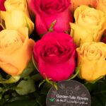 All For You – Mixed roses
