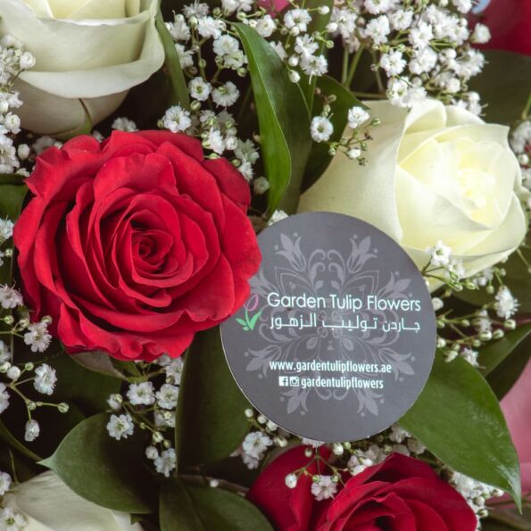 A close up view of white and red roses with baby's breath