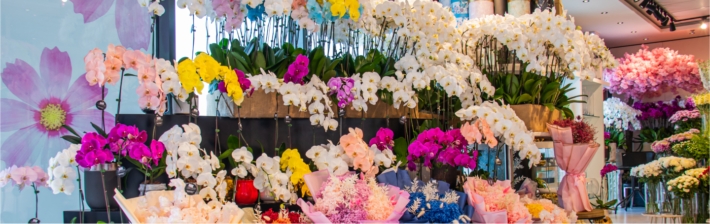 A large display of flowers in a flower shop