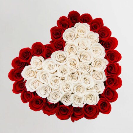 Red and white roses arranged in a heart shape