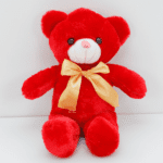 Small Red Teddy