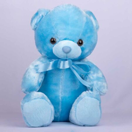 small blue teddy bear tied with blue ribbon