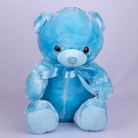 small blue teddy bear tied with blue ribbon