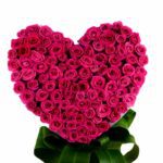 True Romance – Pink Rose arrangement