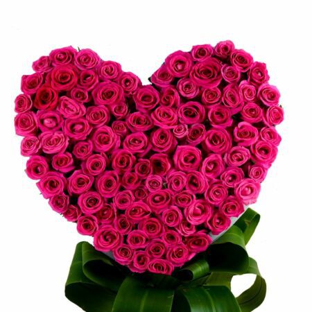 100 Pink Roses arranged in heart shape
