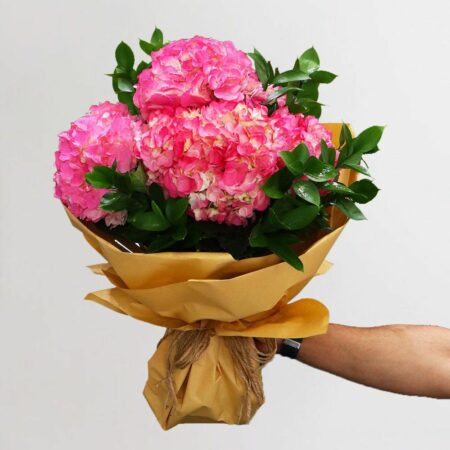 Person holding a hydrangea flower bouquet