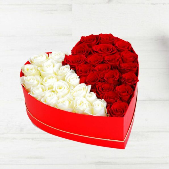 Red and white roses arranged in a heart shaped box