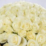 Twilight Serenity – 101 White Roses Bouquet