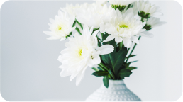 close up view of white flowers in a vase